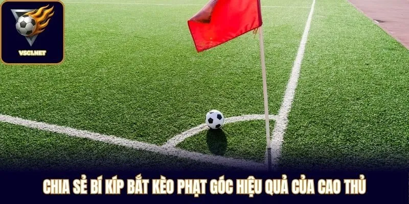 Chia sẻ bí kíp bắt kèo phạt góc hiệu quả của cao thủ