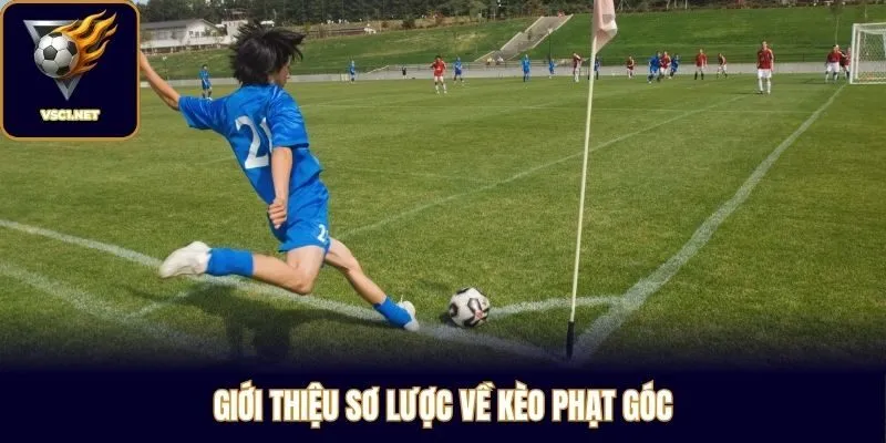 Giới thiệu sơ lược về kèo phạt góc