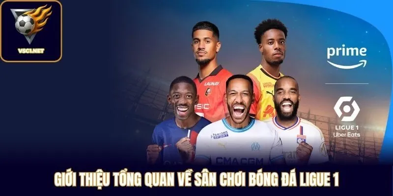 Giới thiệu tổng quan về sân chơi bóng đá Ligue 1