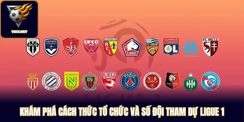 Khám phá cách thức tổ chức và số đội tham dự Ligue 1