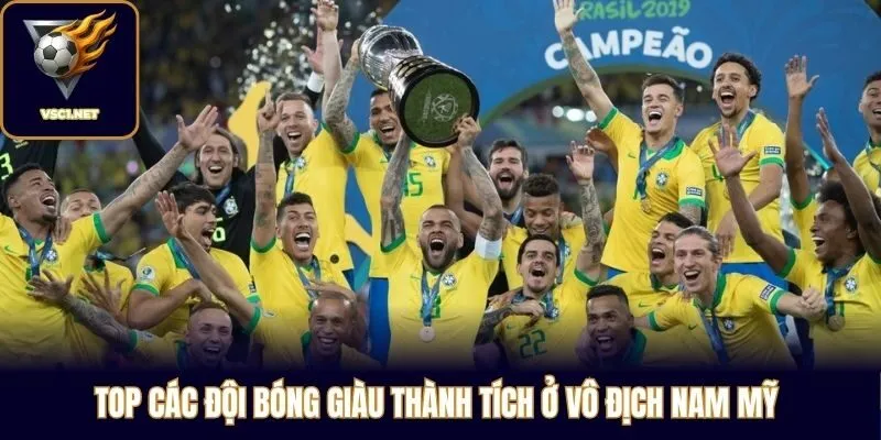 Top các đội bóng giàu thành tích ở Vô Địch Nam Mỹ 